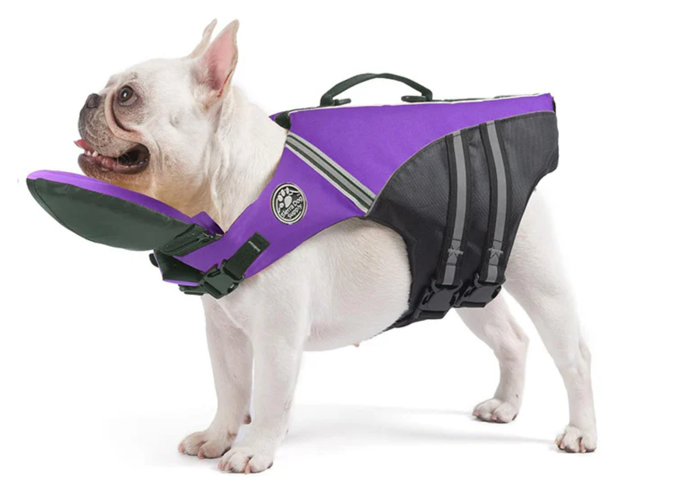 SurfPaw Life Vest