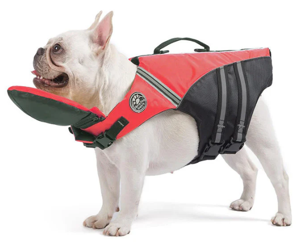 SurfPaw Life Vest