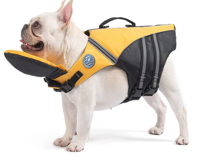 SurfPaw Life Vest