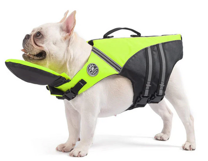 SurfPaw Life Vest